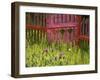 Close-up of a Picket Fence Gate-null-Framed Photographic Print