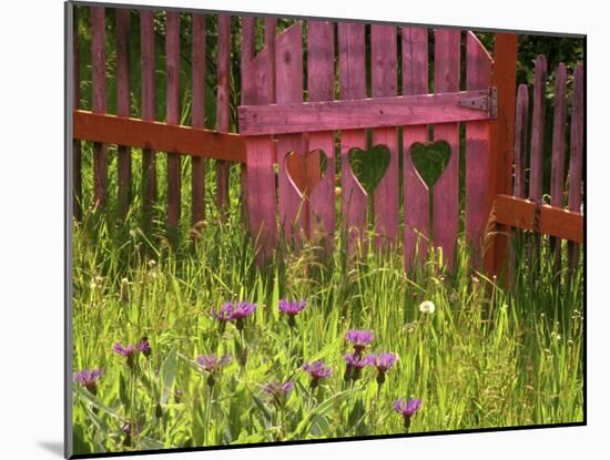 Close-up of a Picket Fence Gate-null-Mounted Photographic Print
