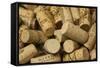 Close-Up of a Pile of Wine Cork Collection-Bill Bachmann-Framed Stretched Canvas