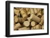 Close-Up of a Pile of Wine Cork Collection-Bill Bachmann-Framed Photographic Print