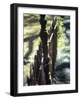 Close-up of a Pointed Metal Gate-null-Framed Photographic Print