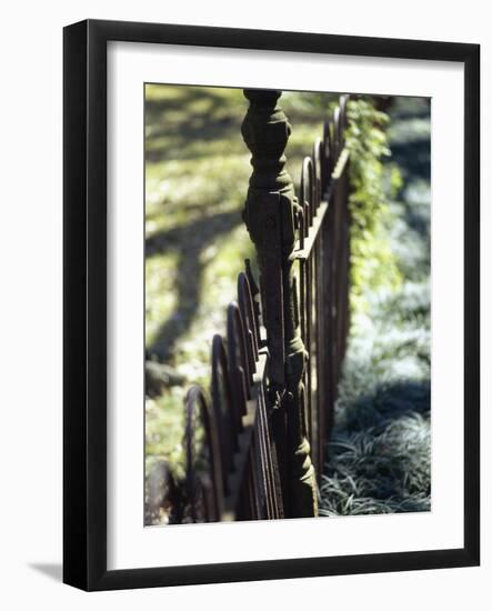 Close-up of a Pointed Metal Gate-null-Framed Photographic Print