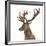 Close-Up of a Red Deer Stag in Front of a White Background-Life on White-Framed Photographic Print