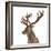 Close-Up of a Red Deer Stag in Front of a White Background-Life on White-Framed Photographic Print