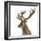 Close-Up of a Red Deer Stag in Front of a White Background-Life on White-Framed Photographic Print