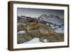 Close-Up of a Red Fox (Vulpes Vulpes) Resting-Benjamin Barthelemy-Framed Photographic Print