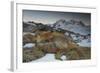 Close-Up of a Red Fox (Vulpes Vulpes) Resting-Benjamin Barthelemy-Framed Photographic Print