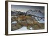 Close-Up of a Red Fox (Vulpes Vulpes) Resting-Benjamin Barthelemy-Framed Photographic Print