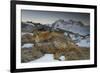 Close-Up of a Red Fox (Vulpes Vulpes) Resting-Benjamin Barthelemy-Framed Photographic Print