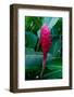 Close-up of a red ginger flower. Seychelles.-Sergio Pitamitz-Framed Photographic Print