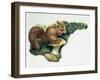 Close-Up of a Red Squirrel Eating a Nut (Sciurus Vulgaris)-null-Framed Giclee Print