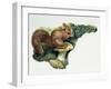 Close-Up of a Red Squirrel Eating a Nut (Sciurus Vulgaris)-null-Framed Giclee Print