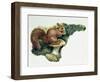 Close-Up of a Red Squirrel Eating a Nut (Sciurus Vulgaris)-null-Framed Giclee Print