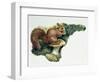 Close-Up of a Red Squirrel Eating a Nut (Sciurus Vulgaris)-null-Framed Giclee Print