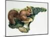 Close-Up of a Red Squirrel Eating a Nut (Sciurus Vulgaris)-null-Mounted Giclee Print