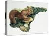 Close-Up of a Red Squirrel Eating a Nut (Sciurus Vulgaris)-null-Stretched Canvas