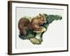 Close-Up of a Red Squirrel Eating a Nut (Sciurus Vulgaris)-null-Framed Giclee Print