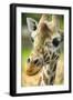 Close-up of a Reticulated Giraffe at the Jacksonville Zoo-Rona Schwarz-Framed Photographic Print