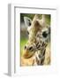 Close-up of a Reticulated Giraffe at the Jacksonville Zoo-Rona Schwarz-Framed Premium Photographic Print