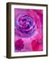 Close-Up of a Rose, Overlayed with Flower Decorations-Alaya Gadeh-Framed Photographic Print