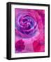 Close-Up of a Rose, Overlayed with Flower Decorations-Alaya Gadeh-Framed Photographic Print