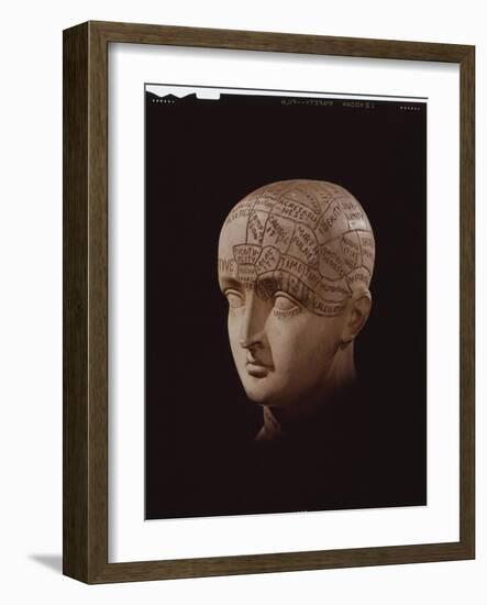 Close Up of a Sculptured Head Mapped and Inscribed to Illustrate the Parts of the Brain-Yale Joel-Framed Photographic Print