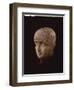 Close Up of a Sculptured Head Mapped and Inscribed to Illustrate the Parts of the Brain-Yale Joel-Framed Photographic Print
