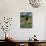 Close-Up of a Single Southern Giraffe Bending Down Drinking, Kruger National Park, South Africa-Paul Allen-Photographic Print displayed on a wall