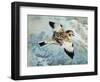 Close-Up of a Snow Bunting Flying-null-Framed Giclee Print