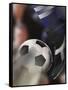 Close-up of a Soccer Player Kicking a Soccer Ball-null-Framed Stretched Canvas