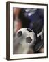 Close-up of a Soccer Player Kicking a Soccer Ball-null-Framed Photographic Print