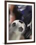 Close-up of a Soccer Player Kicking a Soccer Ball-null-Framed Photographic Print