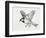 Close-Up of a Sparrow Flying (Passerus Domesticus)-null-Framed Premium Giclee Print