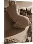 Close-Up of a Statue, Hotel Casino Carrasco, Carrasco, Montevideo, Uruguay-null-Mounted Photographic Print