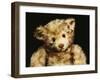 Close Up of a Steiff "Dual" Mohair Teddy Bear, C, 1926-Steiff-Framed Giclee Print