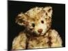 Close Up of a Steiff "Dual" Mohair Teddy Bear, C, 1926-Steiff-Mounted Giclee Print