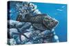 Close-Up of a Stonefish and a Starfish on Rocks Underwater-null-Stretched Canvas