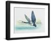 Close-Up of a Swallow Drinking Water (Hirundo Rustica)-null-Framed Giclee Print