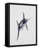 Close-Up of a Swordfish (Xiphias Gladius)-null-Framed Stretched Canvas
