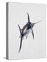 Close-Up of a Swordfish (Xiphias Gladius)-null-Stretched Canvas