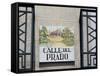 Close-Up of a Tile Street Sign, Calle Del Prado, Centro, Madrid, Spain-Richard Nebesky-Framed Stretched Canvas