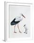 Close-Up of a White Stork with its Young (Ciconia Ciconia)-null-Framed Giclee Print