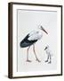 Close-Up of a White Stork with its Young (Ciconia Ciconia)-null-Framed Giclee Print