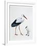 Close-Up of a White Stork with its Young (Ciconia Ciconia)-null-Framed Premium Giclee Print