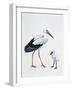 Close-Up of a White Stork with its Young (Ciconia Ciconia)-null-Framed Giclee Print