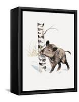 Close-Up of a Wild Boar Rubbing His Neck on a Tree Trunk (Sus Scrofa)-null-Framed Stretched Canvas