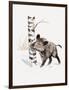 Close-Up of a Wild Boar Rubbing His Neck on a Tree Trunk (Sus Scrofa)-null-Framed Premium Giclee Print