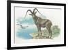 Close-Up of a Wild Goat Standing Near the Sea with a Bird Flying in the Background (Capra Aegagrus)-null-Framed Giclee Print