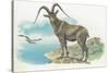 Close-Up of a Wild Goat Standing Near the Sea with a Bird Flying in the Background (Capra Aegagrus)-null-Stretched Canvas