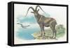 Close-Up of a Wild Goat Standing Near the Sea with a Bird Flying in the Background (Capra Aegagrus)-null-Framed Stretched Canvas